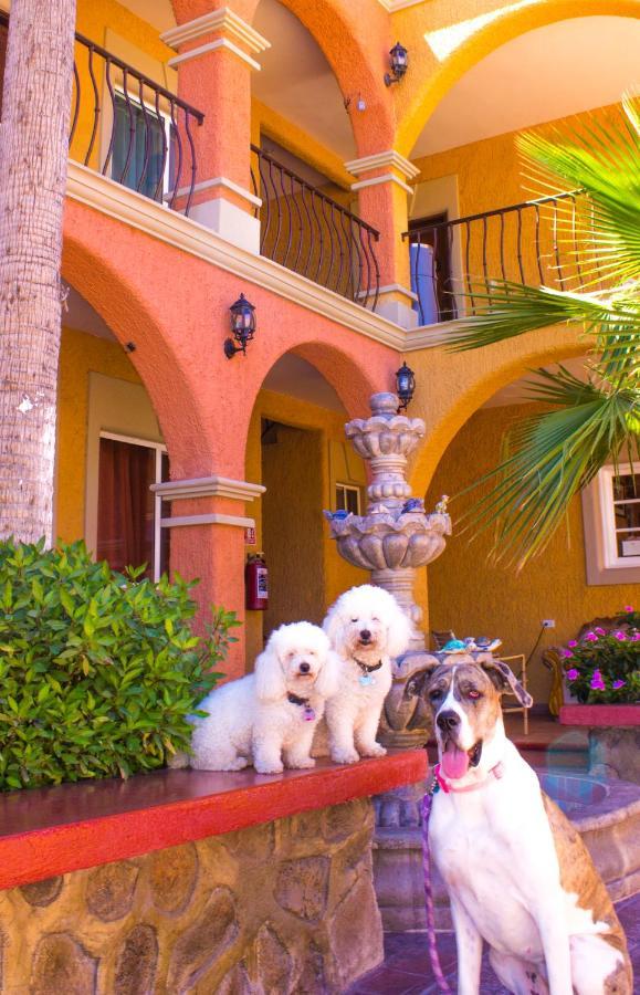 Hotel Angra Loreto (Baja California Sur) Exterior foto